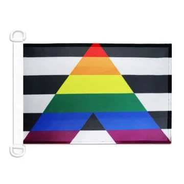 Pavillon nautique LGBT Allié hétérosexuel 45x30 cm Anneaux Plastiques