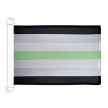 Pavillon nautique LGBT Fierté agenre 45x30 cm Anneaux Plastiques
