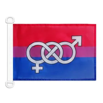 Pavillon nautique LGBT Bisexuel avec symboles 45x30 cm Anneaux Plastiques