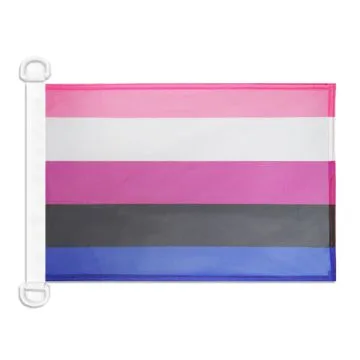 Pavillon nautique LGBT fierté genderfluid 45x30 cm Anneaux Plastiques