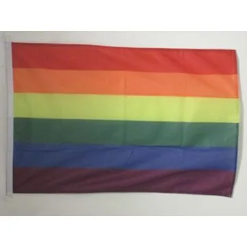 PAVILLON NAUTIQUE ARC-EN-CIEL 45x30cm - DRAPEAU DE BATEAU GAY - RAINBOW FLAG 30 x 45 cm