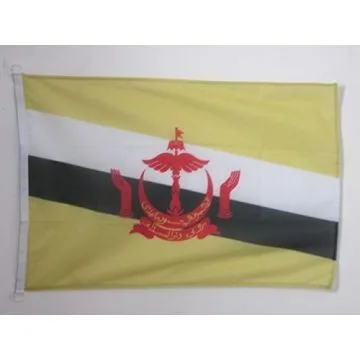 PAVILLON NAUTIQUE BRUNEI 45x30cm - DRAPEAU DE BATEAU BRUNÍ?IEN 30 x 45 cm