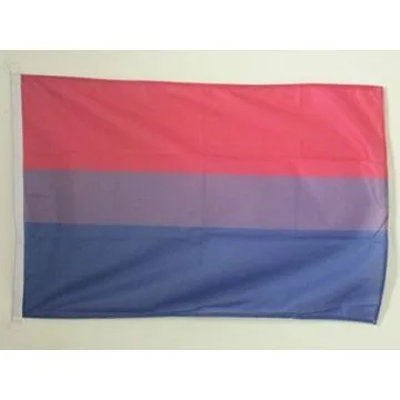 PAVILLON NAUTIQUE BISEXUEL 45x30cm - DRAPEAU DE BATEAU BISEXUEL - ARC EN CIEL - RAINBOW 30 x 45 cm
