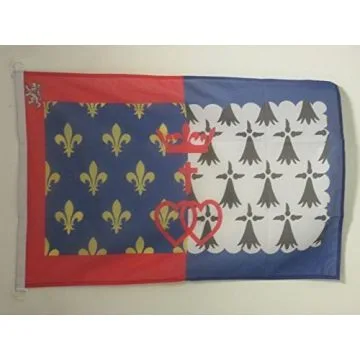 PAVILLON NAUTIQUE PAYS DE LA LOIRE 45x30cm - DRAPEAU DE BATEAU LIGÍ?RIEN - FRANCE 30 x 45 cm