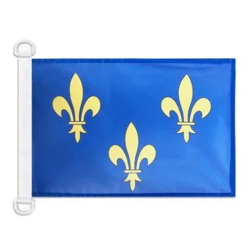 Pavillon nautique 3 Fleur de Lys Bleu et Or 45x30 cm Anneaux Plastiques