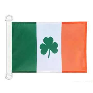 Pavillon nautique Irlande avec trèfle 45x30 cm Anneaux Plastiques