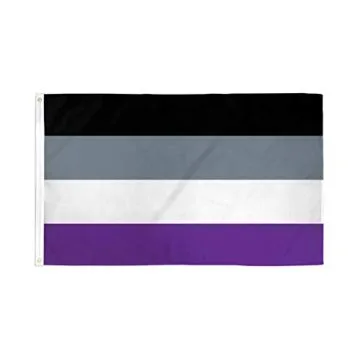 Asexual Rainbow Flag 3' x 5' Light polyester grommets