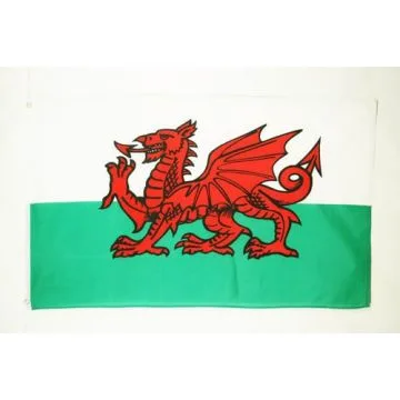 DRAPEAU PAYS DE GALLES 250x150cm polyester léger - GRAND DRAPEAU GALLOIS 150 x 250 cm