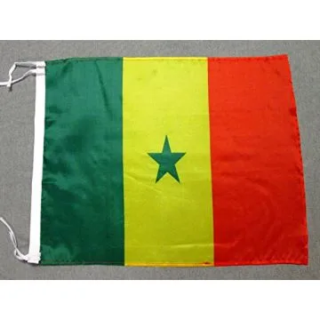 DRAPEAU SÍ?NÍ?GAL 45x30cm - PAVILLON SÍ?NÍ?GALAIS 30 x 45 cm polyester léger