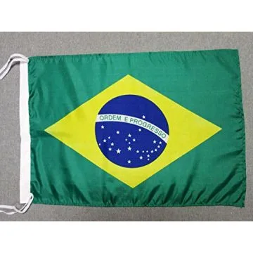 DRAPEAU BRÍ?SIL 45x30cm - PAVILLON BRÍ?SILIEN 30 x 45 cm polyester léger