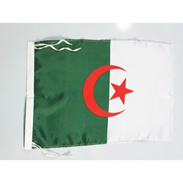 DRAPEAU ALGÍ?RIE 45x30cm - PAVILLON ALGÍ?RIEN 30 x 45 cm polyester léger