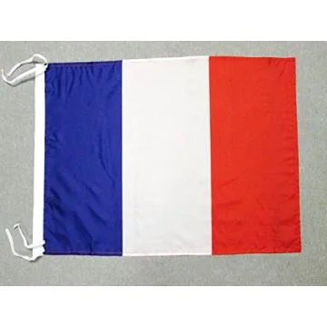 DRAPEAU FRANCE 45x30cm - PAVILLON FRANÍ?AIS 30 x 45 cm polyester léger