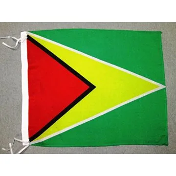 DRAPEAU GUYANA 45x30cm - PAVILLON GUYANIEN 30 x 45 cm polyester léger