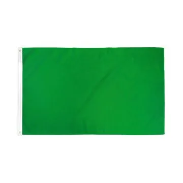 Drapeau Commissaire de course Vert 90x60cm - Drapeau fin de la zone de danger 60 x 90 cm Polyester léger