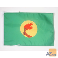 DRAPEAU ZAÏRE 45x30cm - PAVILLON ZAÏROIS 30 x 45 cm haute qualité